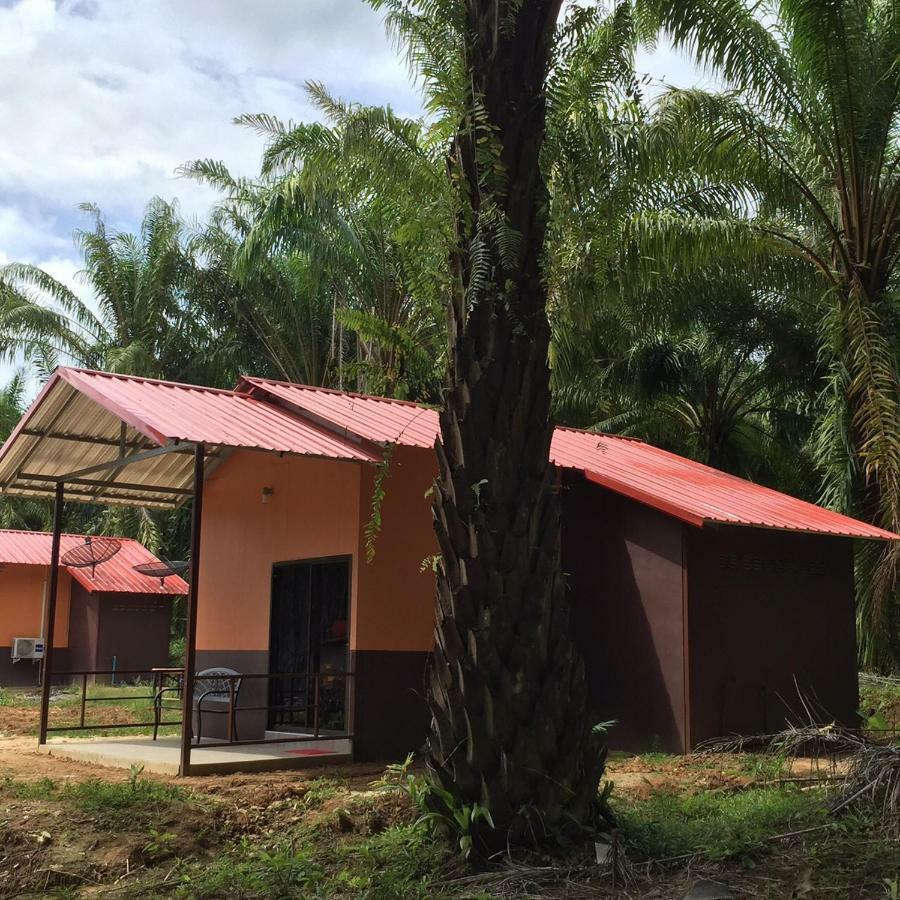 Khao Sok Evergreen House Khao Sok National Park Ngoại thất bức ảnh
