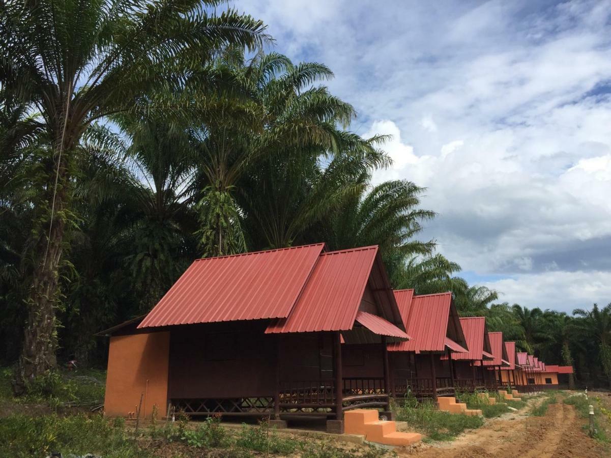 Khao Sok Evergreen House Khao Sok National Park Ngoại thất bức ảnh