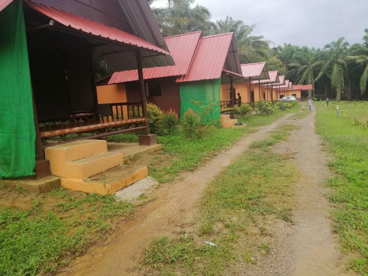 Khao Sok Evergreen House Khao Sok National Park Ngoại thất bức ảnh