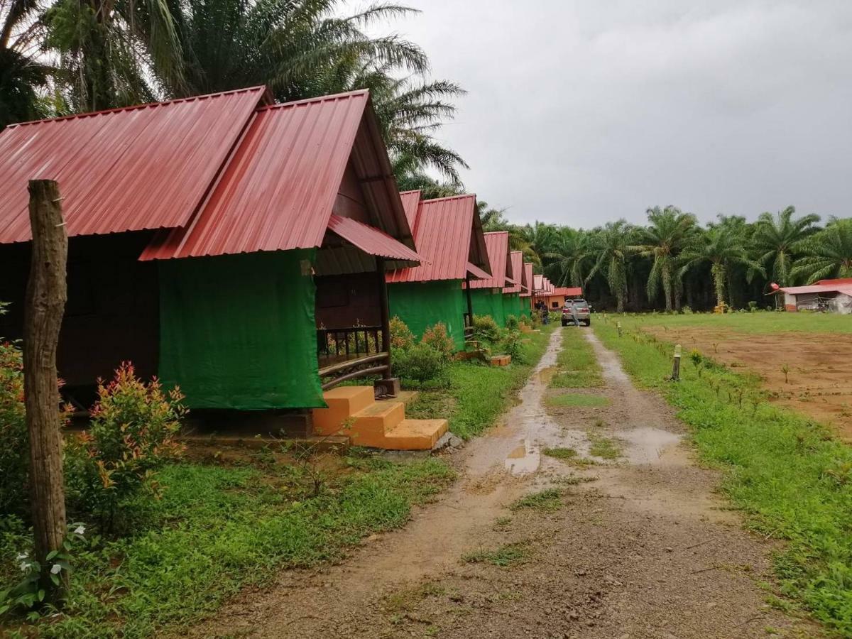 Khao Sok Evergreen House Khao Sok National Park Ngoại thất bức ảnh