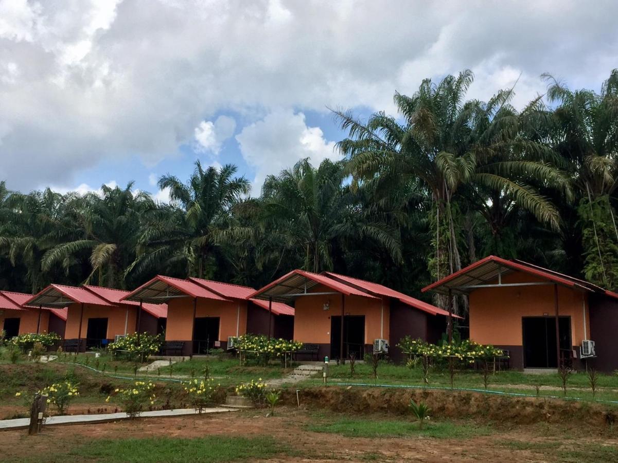 Khao Sok Evergreen House Khao Sok National Park Ngoại thất bức ảnh