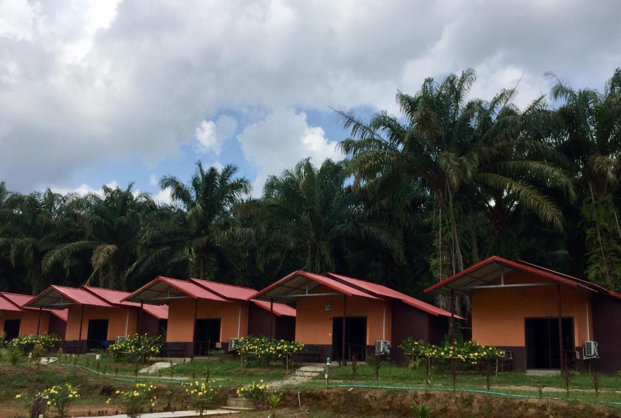 Khao Sok Evergreen House Khao Sok National Park Ngoại thất bức ảnh